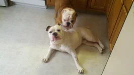 2011-09-08_11-30-18_943.webp
