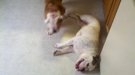 2011-09-08_11-30-27_742.jpg 2011-09-08_11-30-27_742.jpg