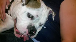 2011-09-08_19-24-09_18.webp