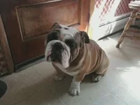 ImageUploadedByTapatalk1304806832.304389.webp