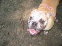 daphne2 064.webp daphne2 064.webp