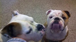 2011-09-09_12-29-29_985.webp