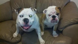 2011-09-09_13-05-07_867.webp