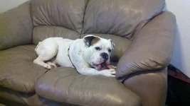 2011-09-09_16-58-40_104.webp