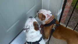 2011-09-10_19-01-25_441.webp