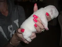 095.webp