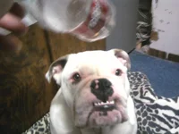 Photo0992.webp