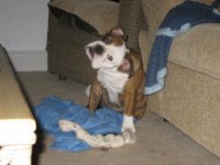 IMG_1678.jpg IMG_1678.jpg