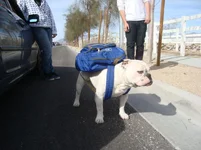 Camera 426.webp
