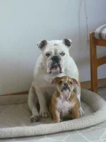 P1000260.webp