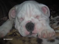 IM000451.webp