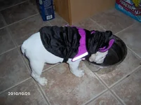 IM000464.webp
