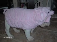 IM000460.webp