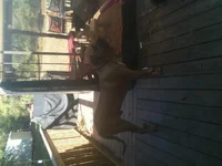 Raleigh porch.webp