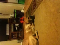 Raleigh Down.webp