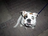 102_1547..webp