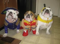 furbabies 076.webp