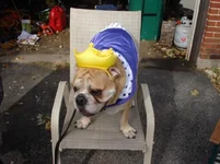 Halloween 2010 015.webp
