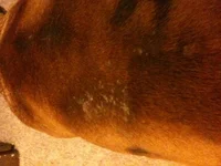 photo.webp