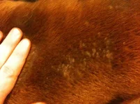 photo-2.webp