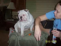 100_3371.webp