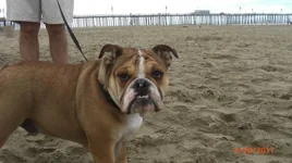 Pismo20.webp