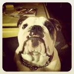 Bo - Sept2011.webp