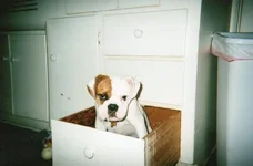 Before.webp