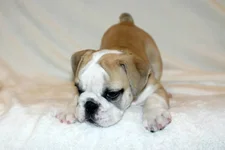 WELCOME MOLLY SEPT &.webp