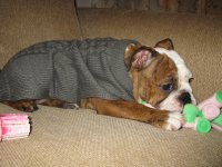 IMG_1740.jpg IMG_1740.jpg