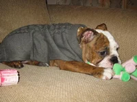 IMG_1740.webp IMG_1740.webp