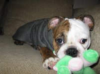 IMG_1742.jpg IMG_1742.jpg