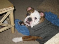 IMG_1752.jpg IMG_1752.jpg