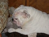 2008_04020302080024.JPG