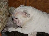 2008_04020302080024.webp