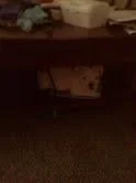 under the table.webp