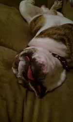 IMAG0064.webp