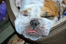 DSC_0001.webp DSC_0001.webp