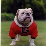 UGA.webp UGA.webp