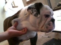 Picture 178.jpg