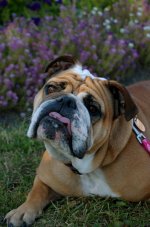 DSC_6095.jpg