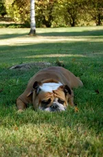 DSC_6122.webp