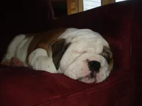 after he got home.webp