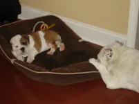 he and lola b4 nap.webp