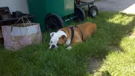 2011-05-09_15-50-58_271.webp