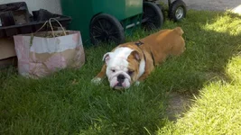 2011-05-09_15-51-05_676.webp