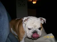 100_0867.webp