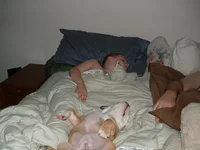 DSCF0595.webp