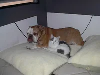 IM000095.webp