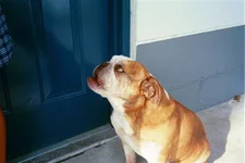 005_05.webp